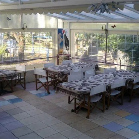 Pearl Of マルマリス